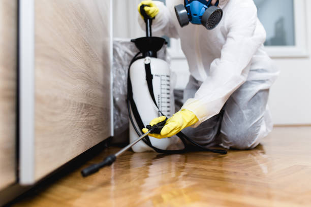 Best Pest Removal Services  in Yosemite Lakes, CA
