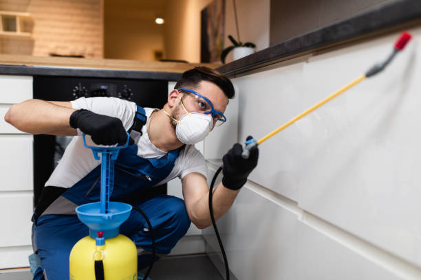 Best Pest Prevention Services  in Yosemite Lakes, CA