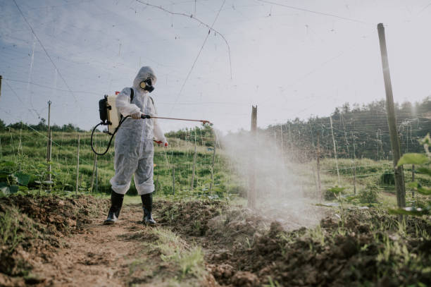 Best Commercial Pest Control Services  in Yosemite Lakes, CA