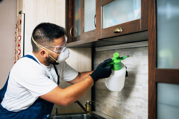 Best Pest Control Near Me  in Yosemite Lakes, CA