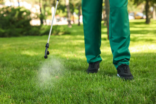Best Ant Control Services  in Yosemite Lakes, CA