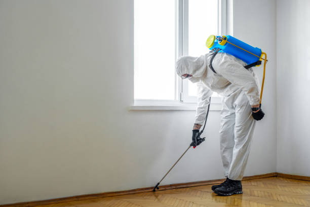 Best Best Pest Control Companies  in Yosemite Lakes, CA