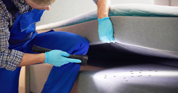 Best Pest Prevention Services  in Yosemite Lakes, CA